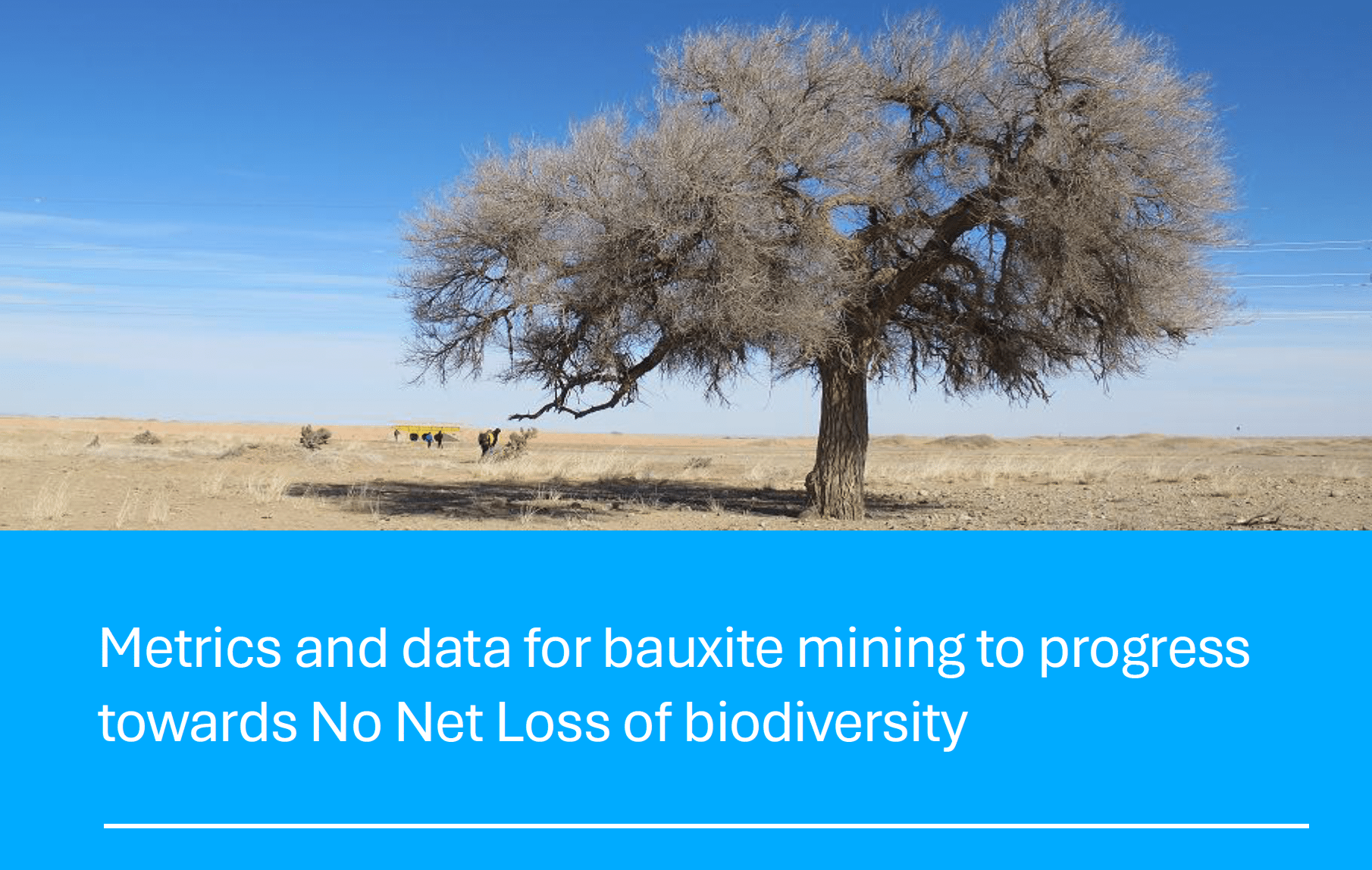 A single leafless tree stands in a dry, barren landscape under a clear blue sky. Text overlay reads: "Biodiversity metrics and data for bauxite mining to progress towards No Net Loss of biodiversity.